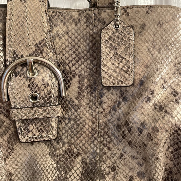 Beautiful Pre Loved Python Coach - Picture 4 of 17